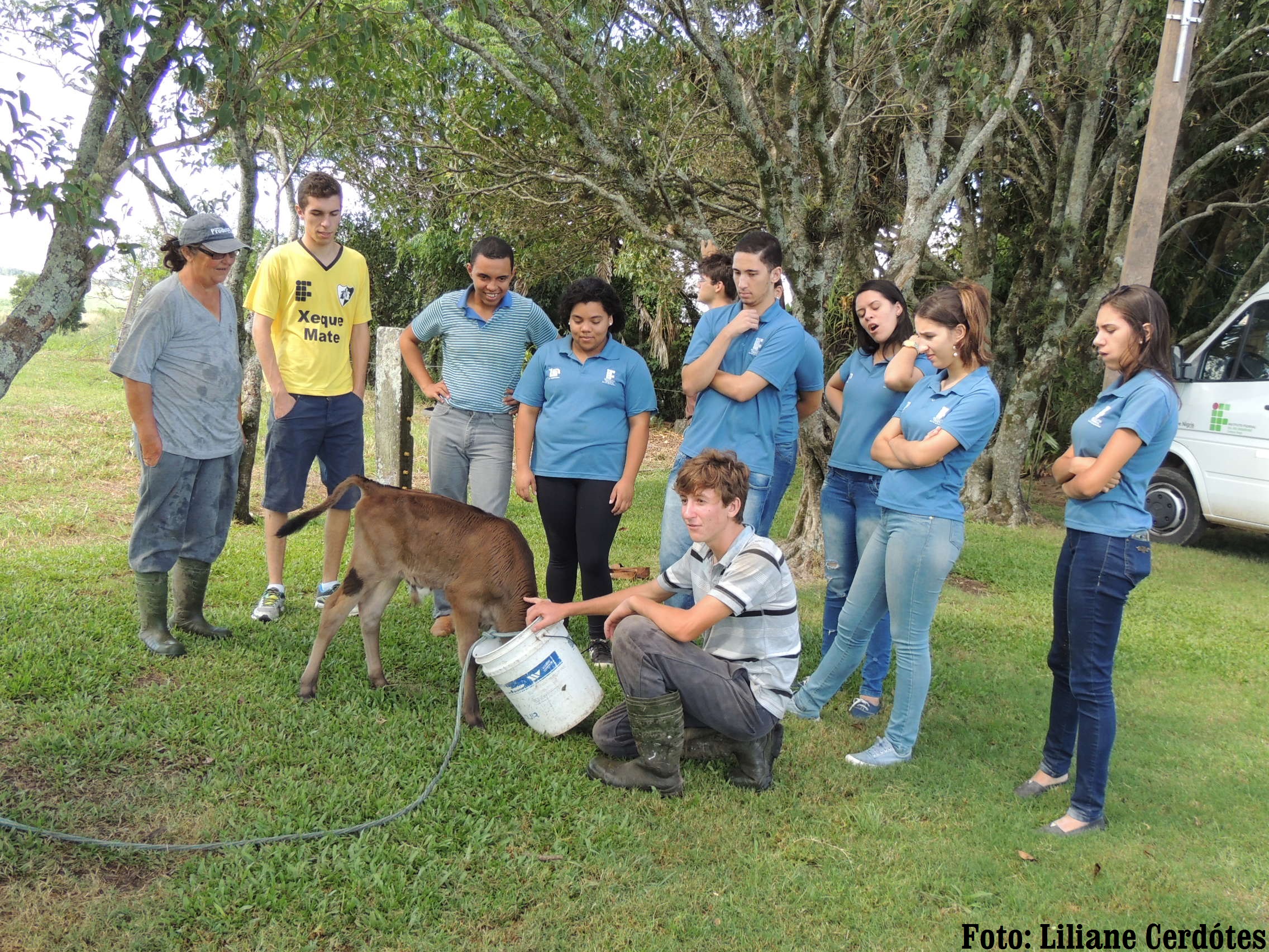 Imagem